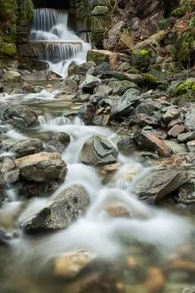 Mossdale Beck