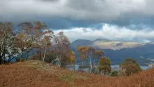 Skiddaw View