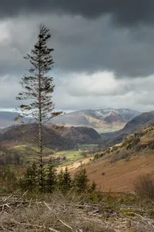 View down St Johns in the Vale