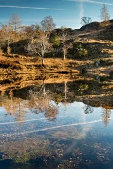 Holme Fell Tarn