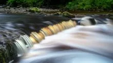 Walden Beck