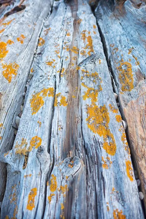 old-pier-detail