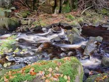 Running Water, Fallen Leaves
