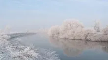 Frosty Aire