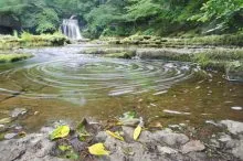 West Burton Swirls