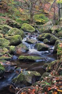 Burbage Brook