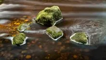 Islands in the Stream