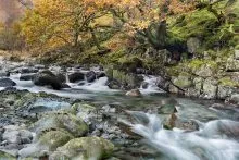 Langstrath Beck