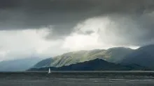 Coming Home