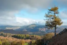 Overlooking its Kingdom
