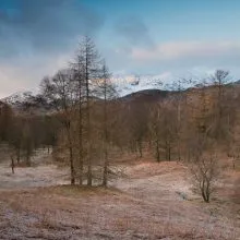 The Holme Fell Four