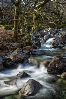 Over Beck