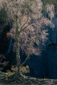 On the Edge