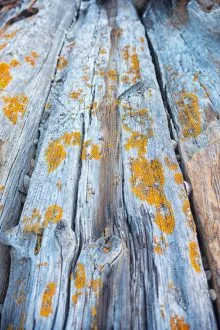 Old Pier Detail