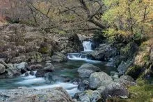 Galleny Force